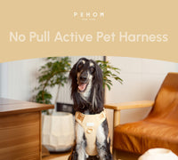 NO PULL ACTIVE  PET HARNESS - APRICOT
