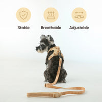 PADDED  ACTIVE  PET LEASH  - APRICOT