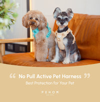 NO PULL ACTIVE  PET HARNESS - APRICOT