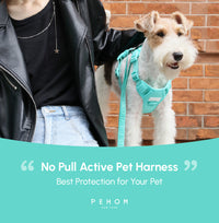 NO PULL ACTIVE  PET HARNESS - MINT GREEN