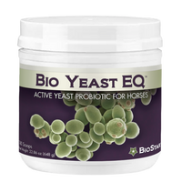 Bio Yeast EQ