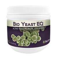 Bio Yeast EQ