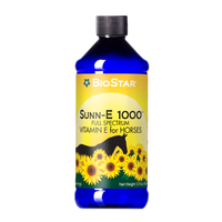 Sunn-E 1000