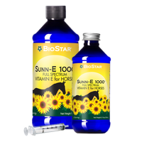 Sunn-E 1000