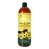 Sunn-E 1000