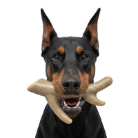 Ever Antler Nylon Chew Bone | Elk Antler Shaped Dog Toy for Aggressive Chewers | SodaPup - BIG FRENCHIES