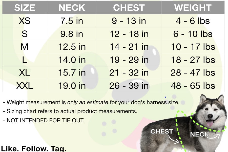 EcoBark Teal Dog Harness - Over-the-Head Soft Mesh Dog Vest Halter for Small to Medium Dogs and Puppies - BIG FRENCHIES