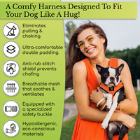 EcoBark Pink Dog Harness - Over-the-Head Soft Mesh Dog Vest Halter for Small to Medium Dogs and Puppies - BIG FRENCHIES