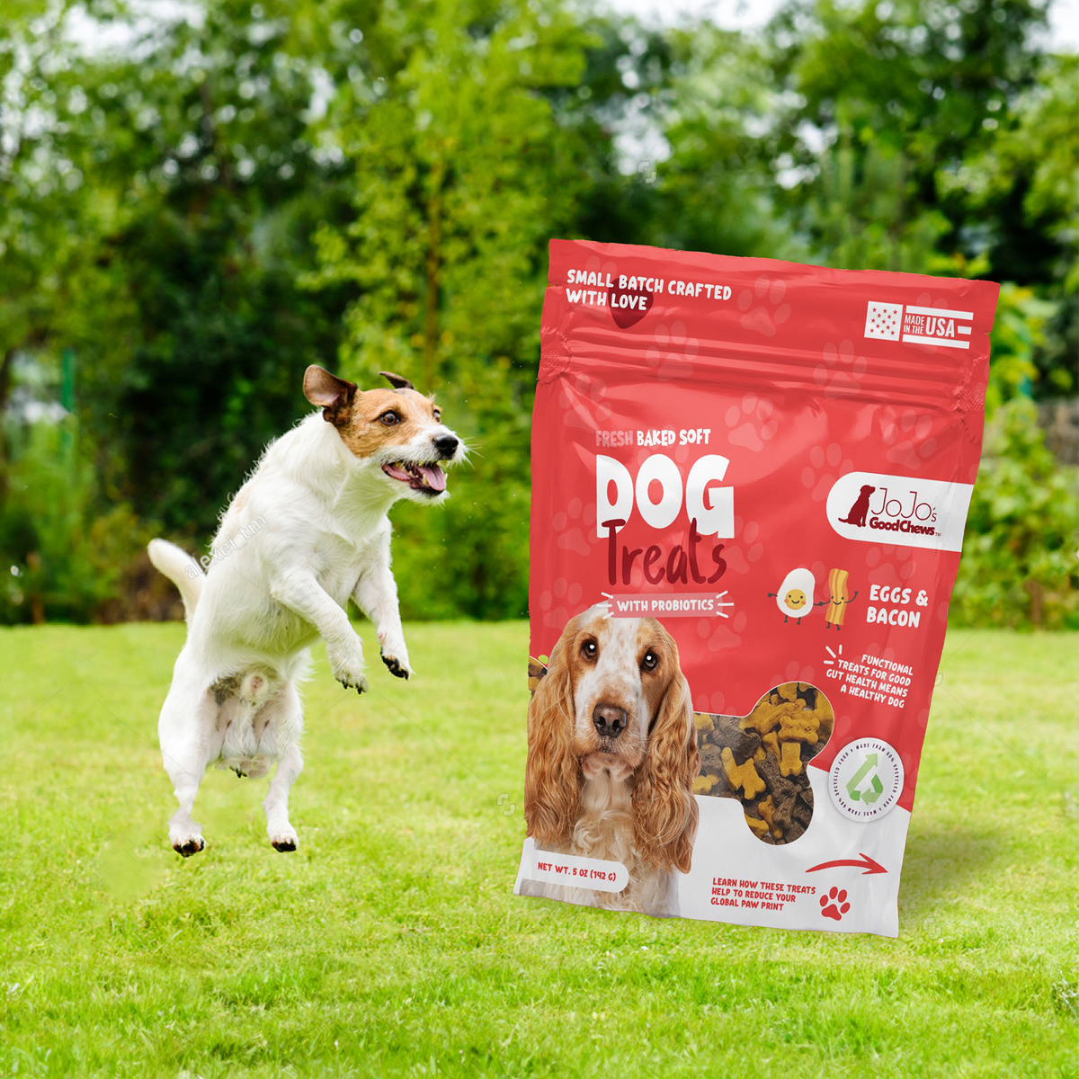Fresh Baked Eggs and Bacon Soft Dog Chew Treats (2-Pack) - BIG FRENCHIES
