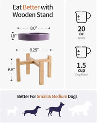 Elevated Ceramic Slow Feeder Dog Bowl 8.6in Heavy Weighted (various colors)
