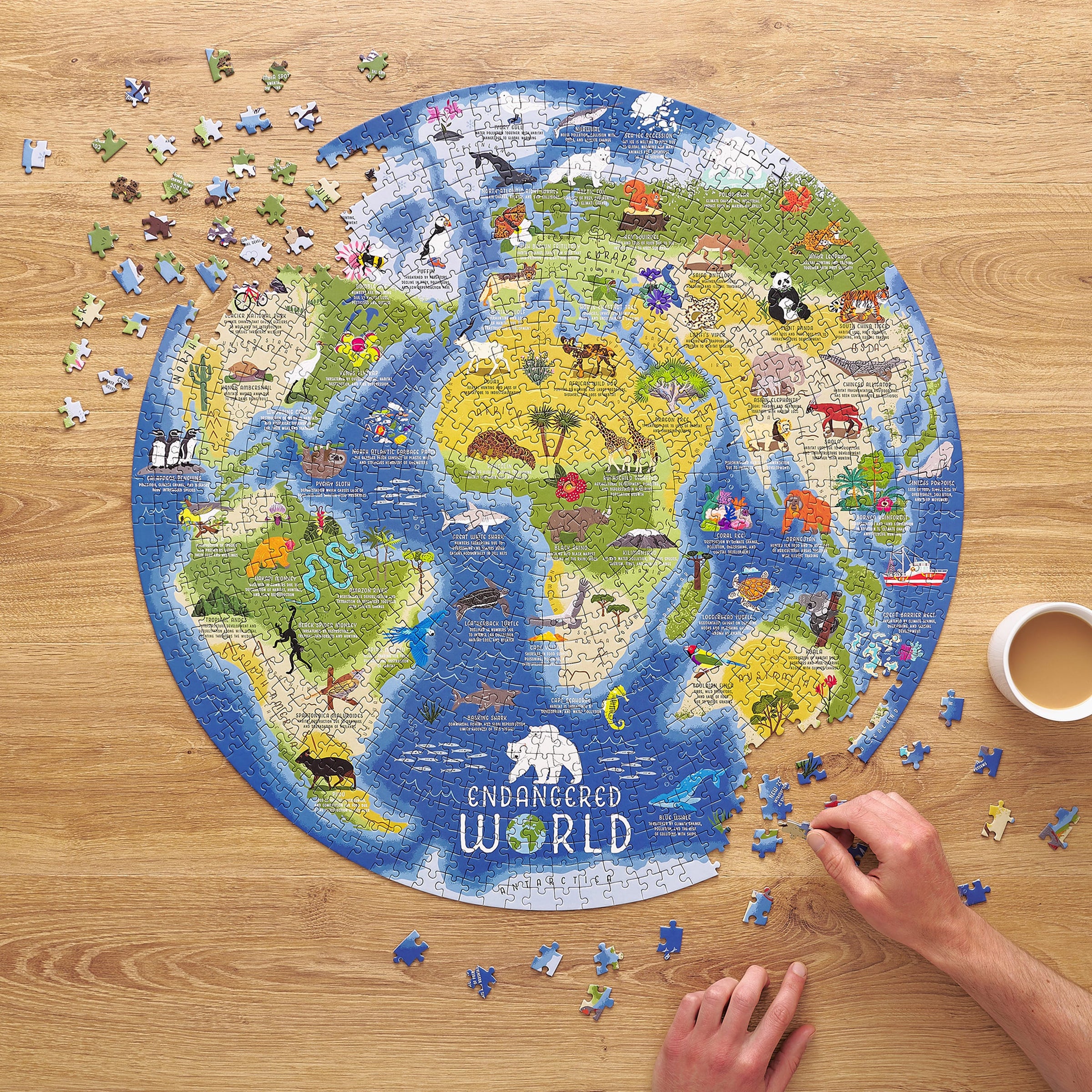 Endangered World 1000 Piece Round Jigsaw Puzzle Ridley