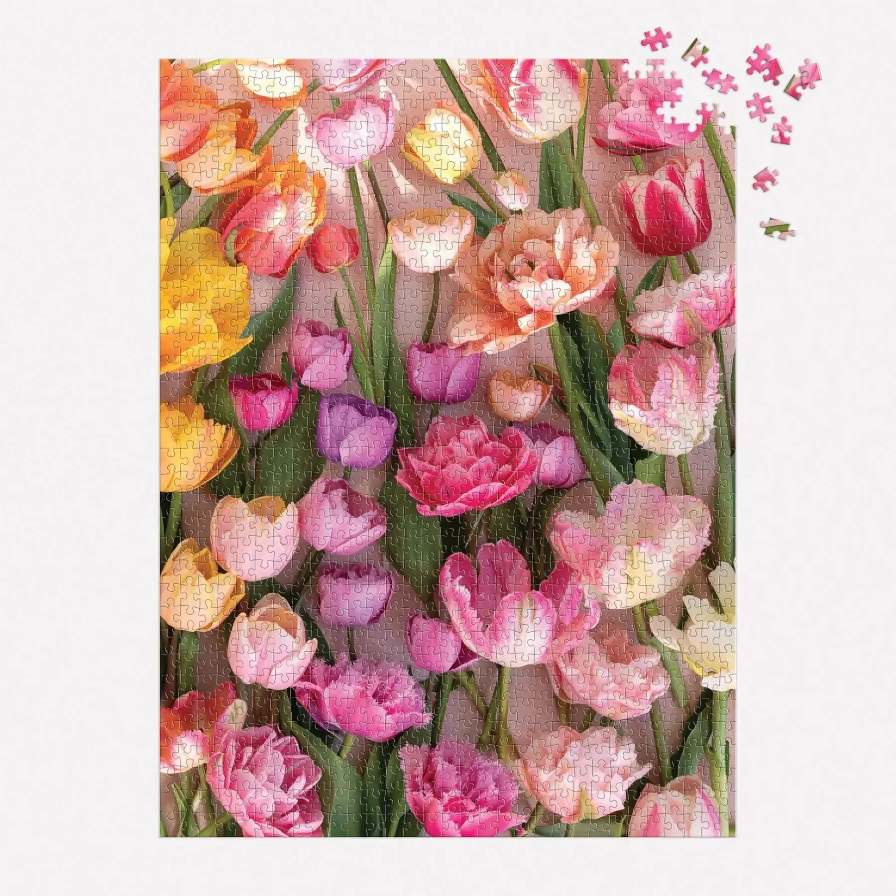 Ephemeral Tulips 1000 Piece Jigsaw Puzzle Galison