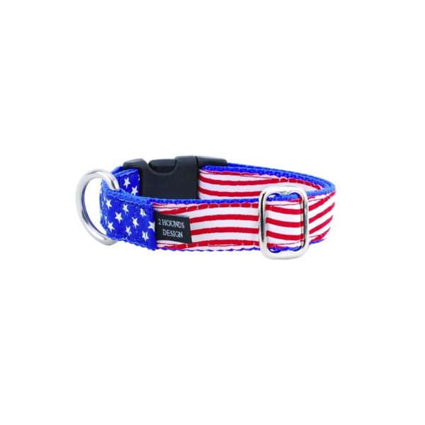 1″ Stars and Stripes Essential Martingale Dog Collar-Pet Collars & Leashes-BIG FRENCHIES-2 Hounds Design