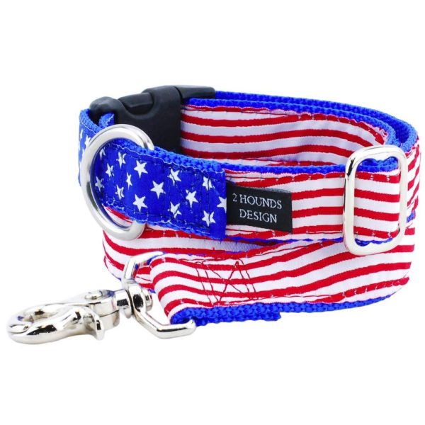 1″ Stars and Stripes Essential Buckle Martingale Dog Collar-Pet Collars & Leashes-BIG FRENCHIES-2 Hounds Design