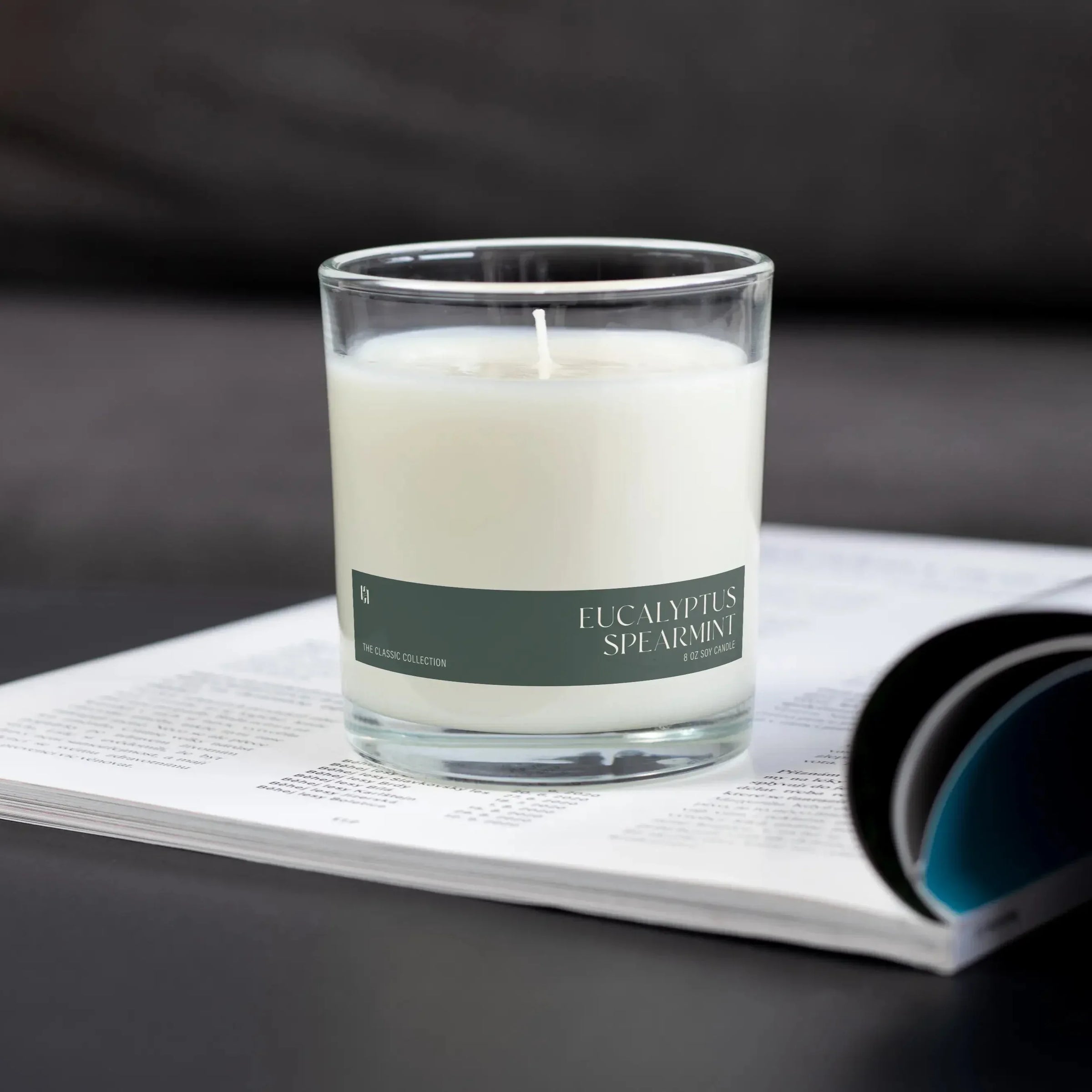 Eucalyptus Spearmint Candle - BIG FRENCHIES