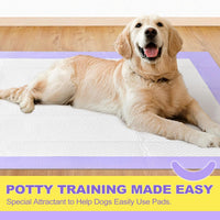 Extra Large Dog Pee Pads 28x34 Lavender Scent Leak Proof 8 Cup 40 Count