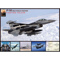 F-16 Falcon 1000 Piece Jigsaw Puzzle Eurographics