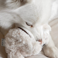 Koko Mini Plushie