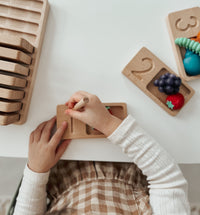 Lindquist Lane Numbers 0 to 10 Number Sense Counting Boards Set in Tray