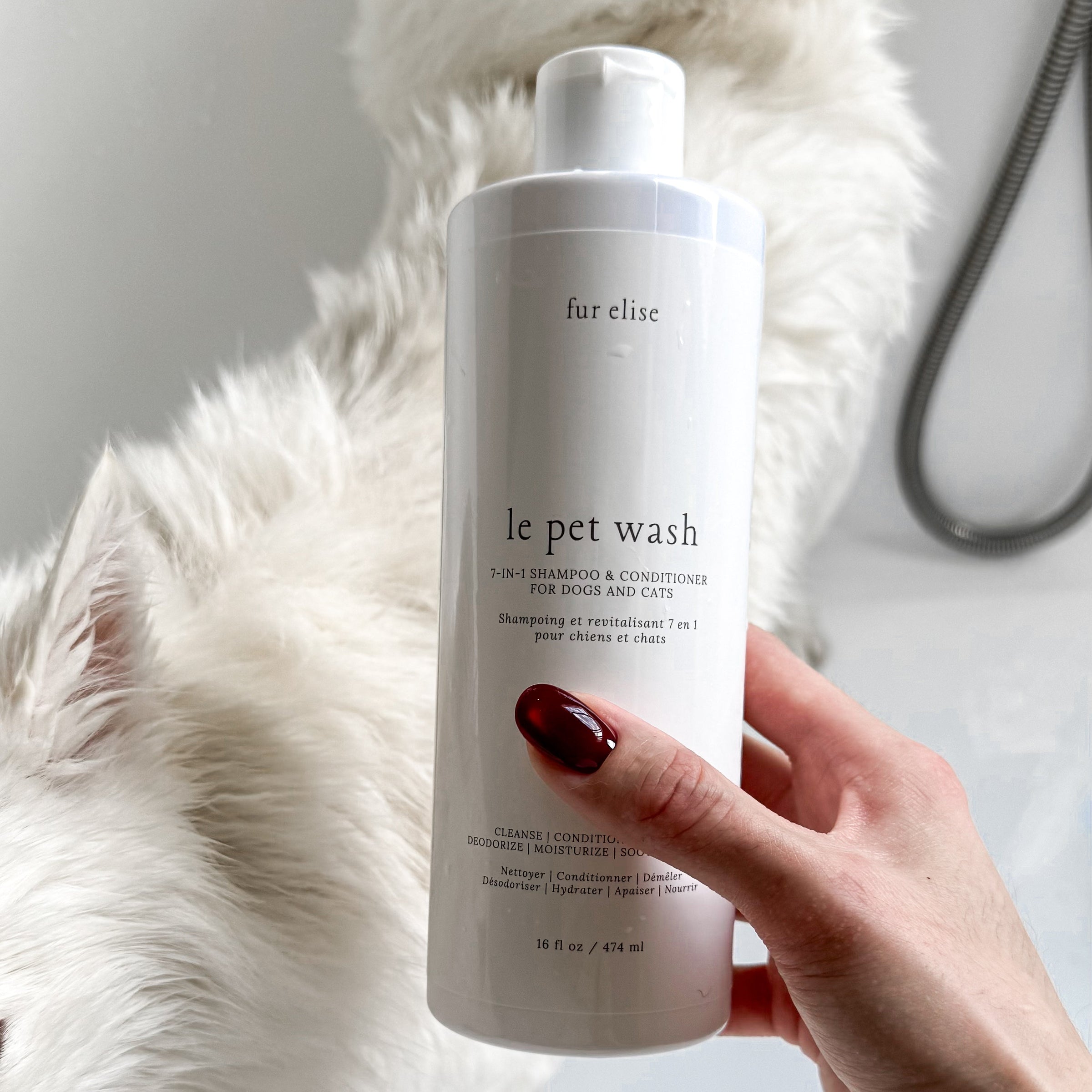 Le Pet Wash