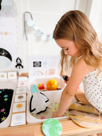 Space Station Printable Dramatic Play Kit