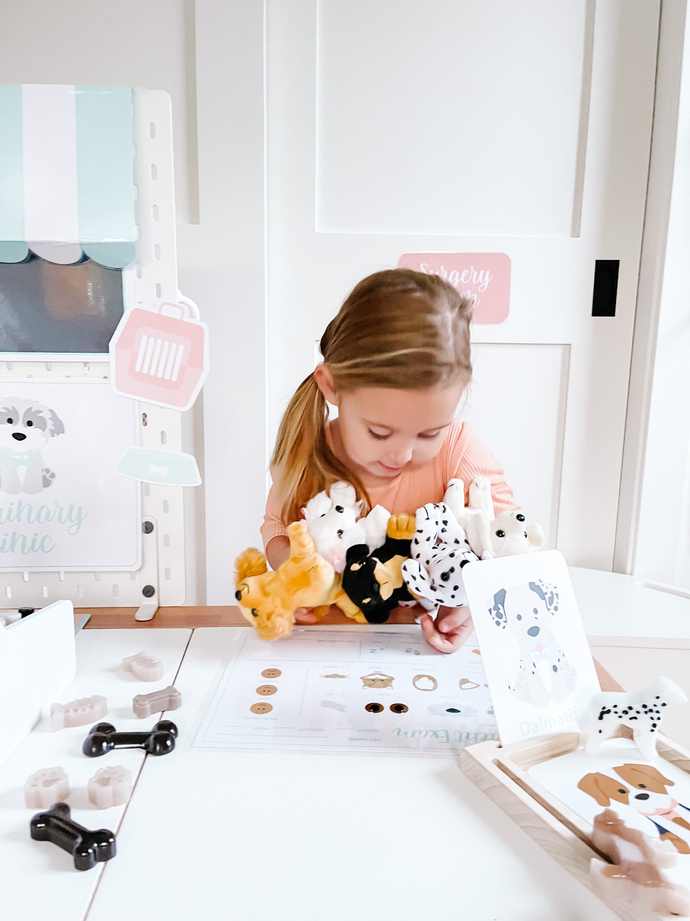 Vet Clinic Dramatic Play