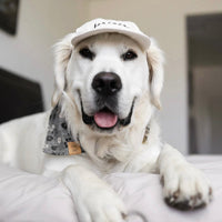 Furever Hat Bundle