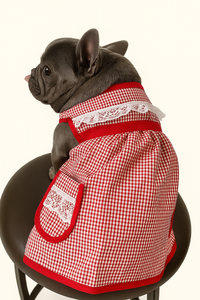 🇲🇽 Dogñitas – The Abuelita Mandil for Your Pup 🐶