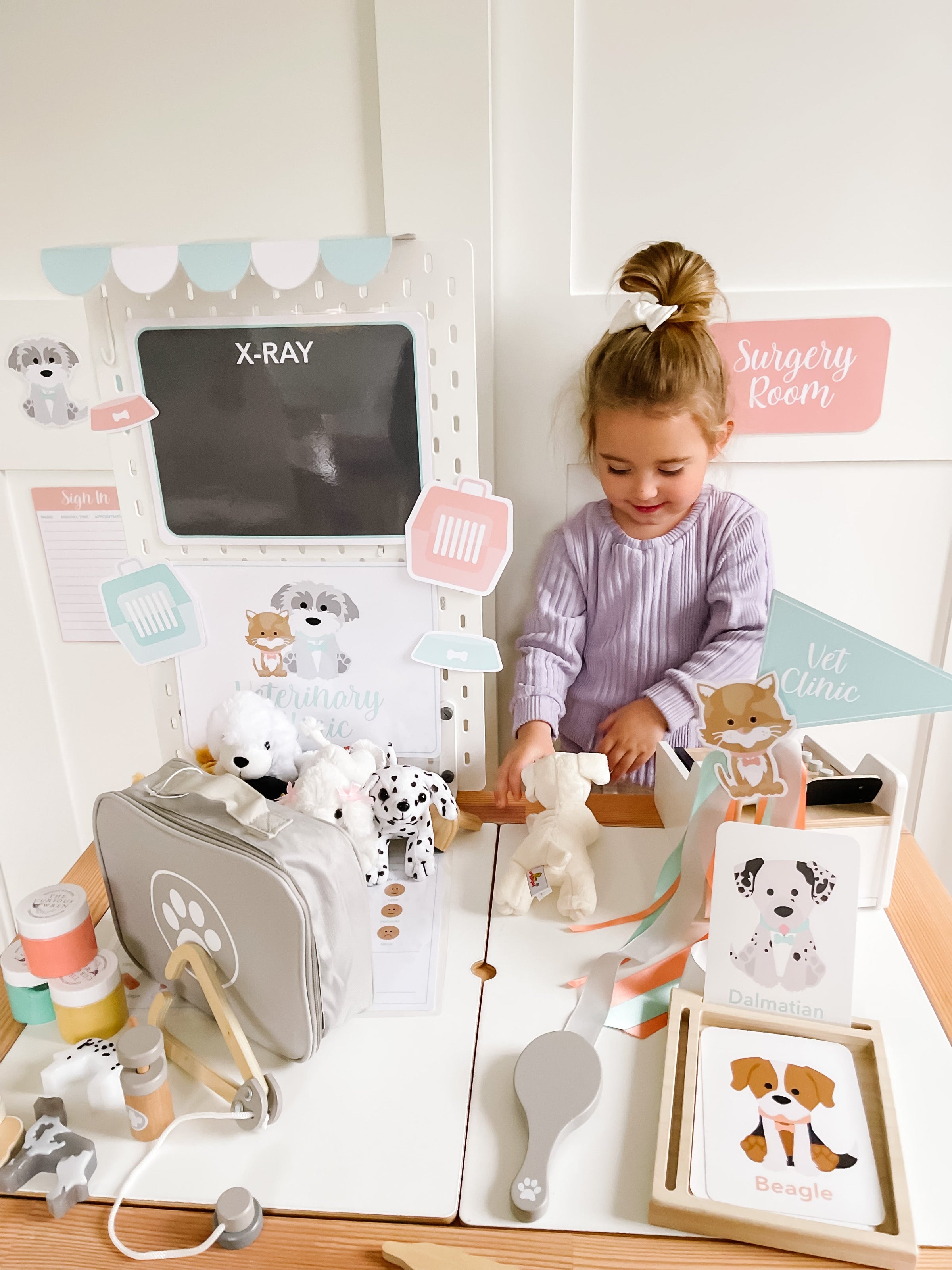 Vet Clinic Dramatic Play