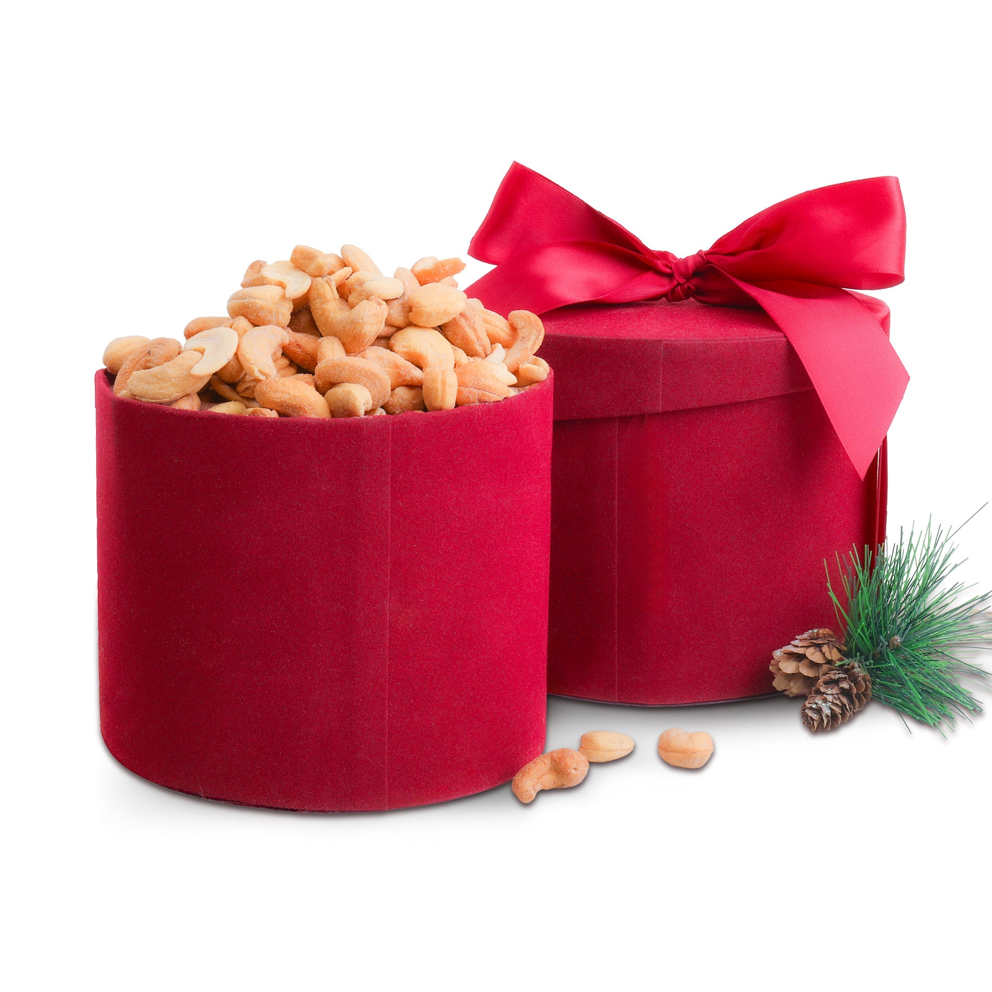 Cashews Holiday Gift Tin