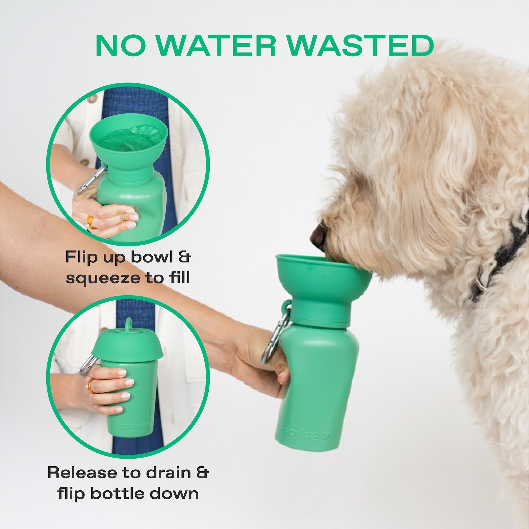 20oz Flip Dog Travel Water Bottle - BIG FRENCHIES