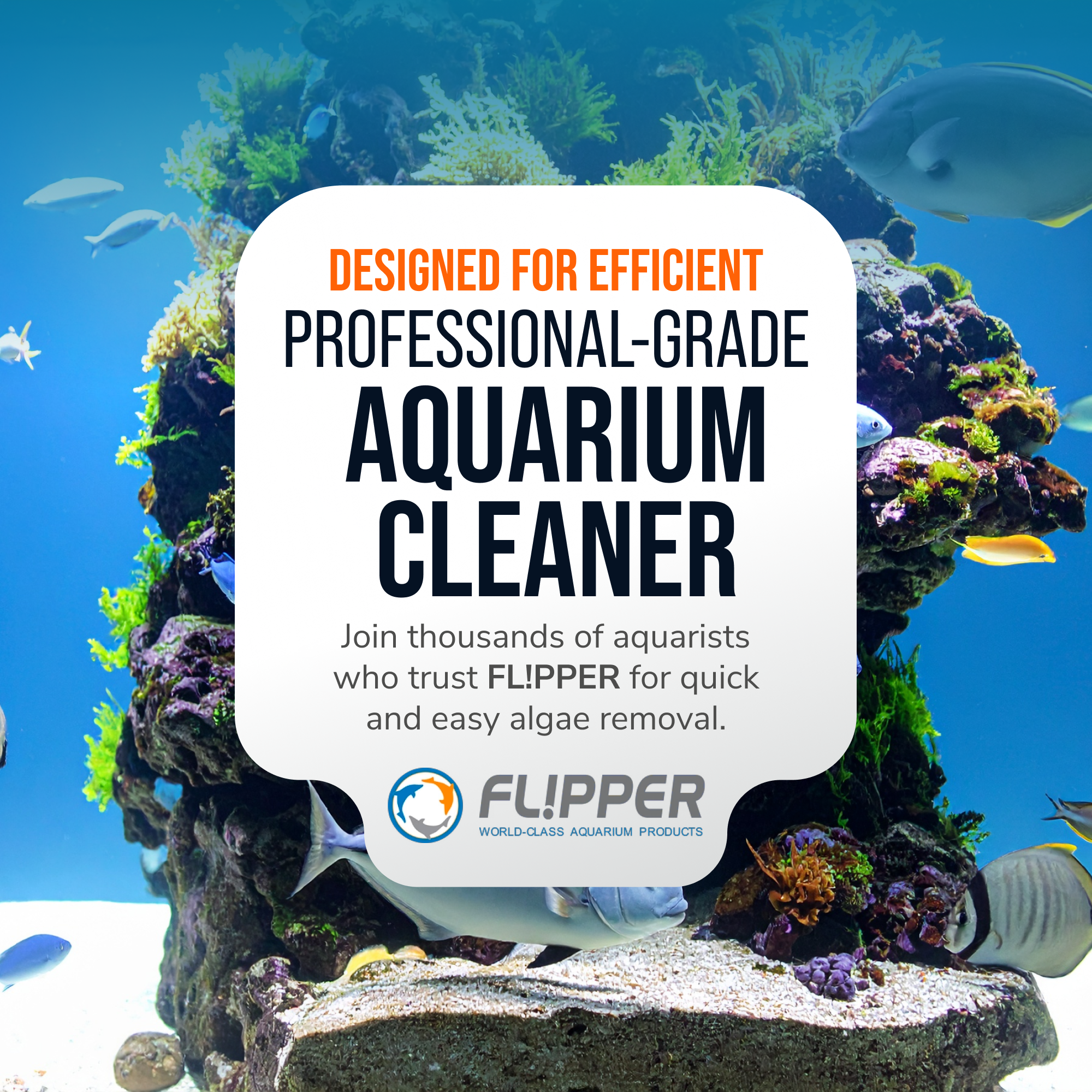 Flipper Edge Limited Edition Clownfish 2 in 1 Floating Magnetic Aquarium Algae Cleaner (MAX)