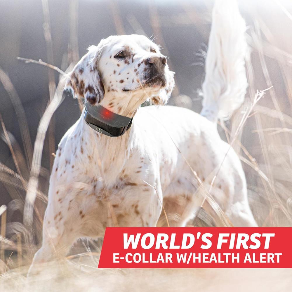 SportDOG Brand FieldSentinel 1825 Remote Trainer with BodyGuard Alerts - 1 Mile Range, Expandable to 2 Dogs