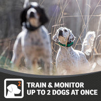 SportDOG Brand FieldSentinel 1825 Remote Trainer with BodyGuard Alerts - 1 Mile Range, Expandable to 2 Dogs