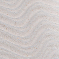 Powder to Foam Face Wash with Willow Bark + Papaya Enzymes