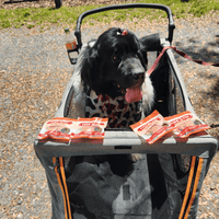 Turkey Chips Snack Pack Bundles | Low Allergen Treats for Training