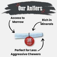 Elk Antler Dog Chews | All-Natural Whole and Split Elk Antler Chews for Dogs