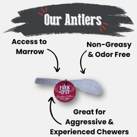 Reindeer Antler Dog Chews | Organic Chews for Dogs