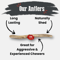 Reindeer Antler Dog Chews | Organic Chews for Dogs