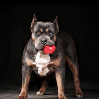 Tug Toys