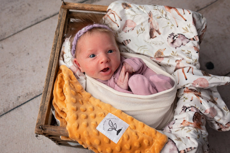 Forest Friends Minky Blanket - BIG FRENCHIES