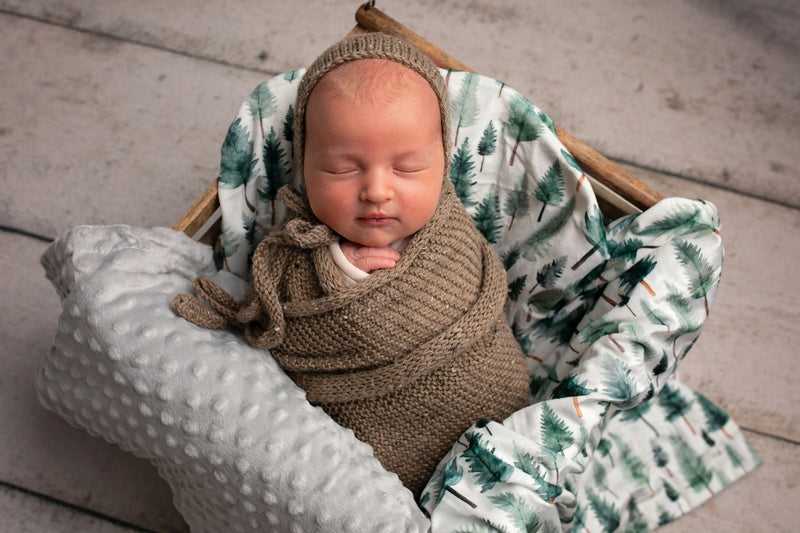 Woodland Whispers Minky Blanket - BIG FRENCHIES