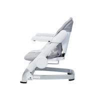 Feed Me Go 3-In-1 Travel Booster Seat - BIG FRENCHIES