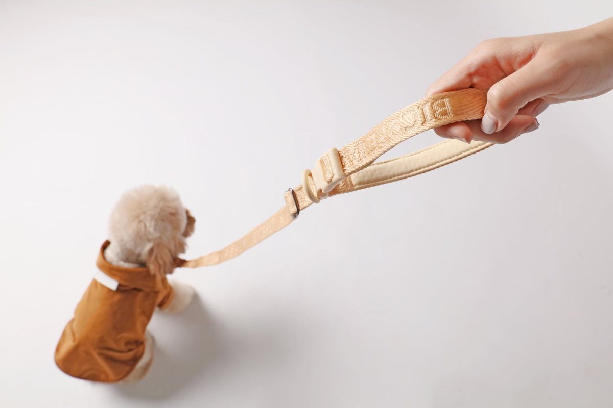 PADDED  ACTIVE  PET LEASH  - APRICOT-Pet Collars & Leashes-BIG FRENCHIES-pehomnyc
