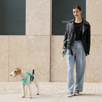 PADDED  ACTIVE  PET LEASH  - MINT GREEN