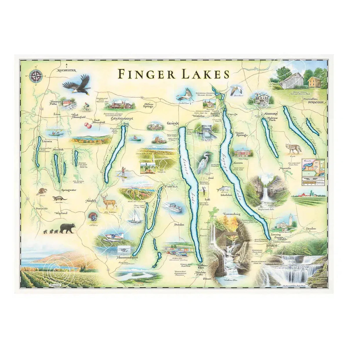 Finger Lakes New York 1000 Piece Jigsaw Puzzle Xplorer Maps - BIG FRENCHIES
