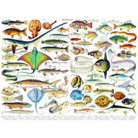 Fish ~ Poissons 1000 Piece Jigsaw Puzzle NYPC