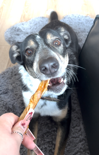 Fish Maw (Single Ingredient Chew)