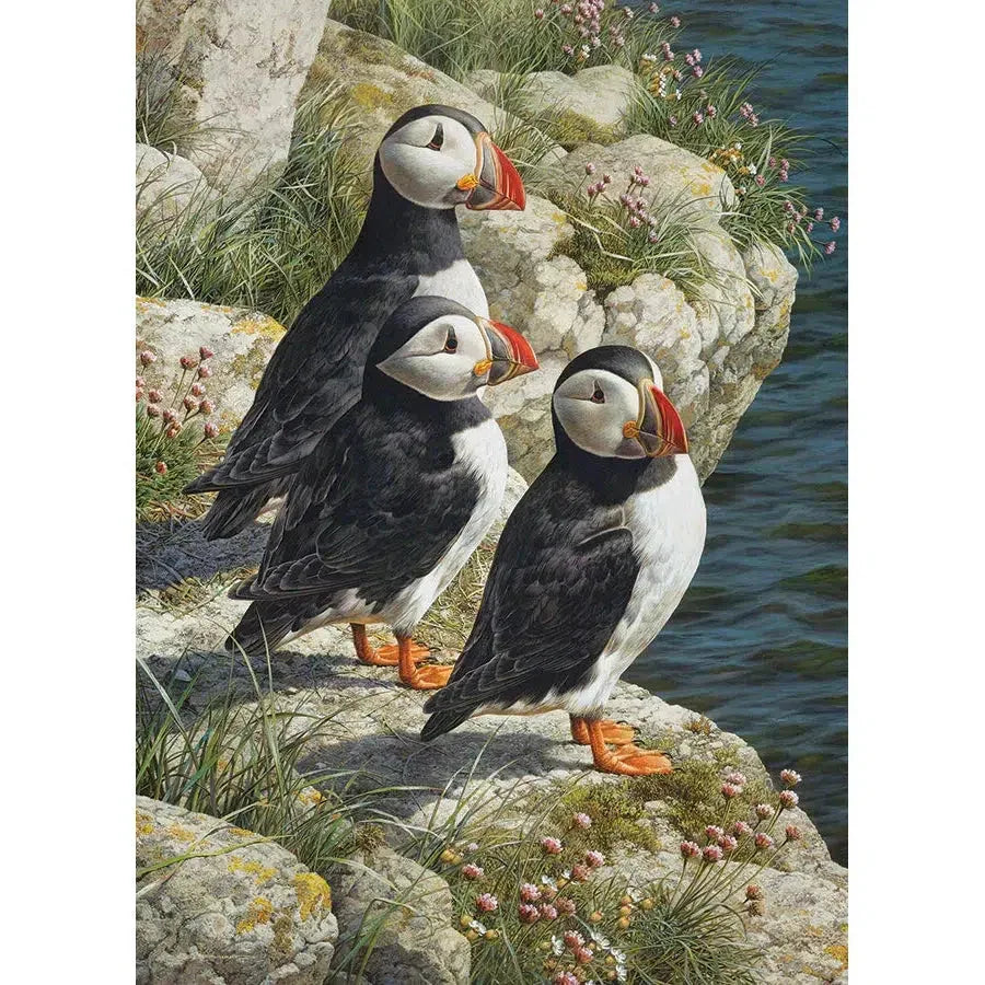 Fisherman's Wharf 500 Piece Jigsaw Puzzle Cobble Hill - BIG FRENCHIES