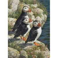 Fisherman's Wharf 500 Piece Jigsaw Puzzle Cobble Hill